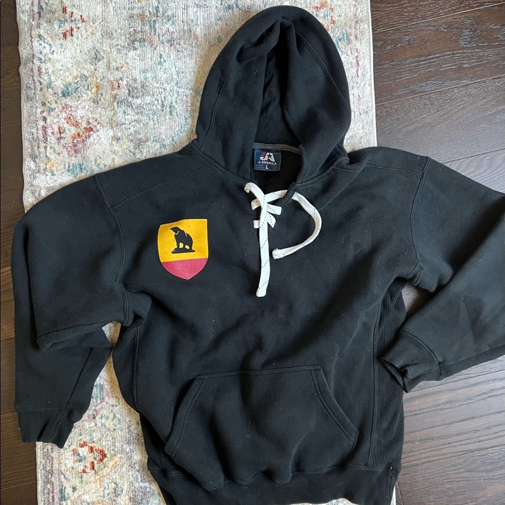 Ursinus College hoodie